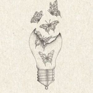 Meet your Posher, Lulu